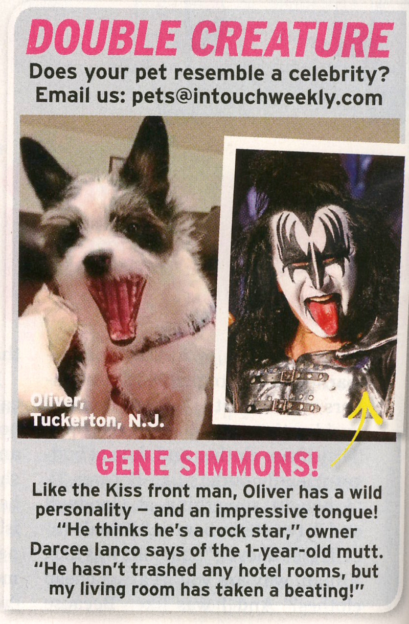 Illustration for article titled This Week in Tabloids: Bachelor Chris is a Dancing, Cheating LiarÂ